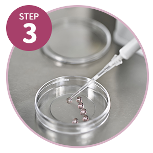 試管嬰兒步驟3-體外受精